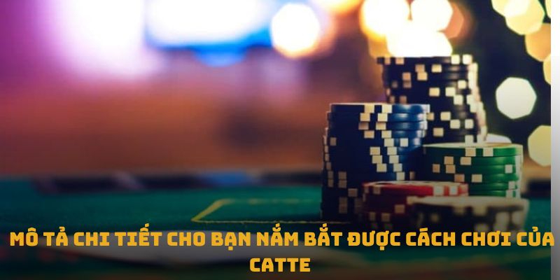 Mô tả chi tiết cách chơi game Catte cho mọi đối tượng