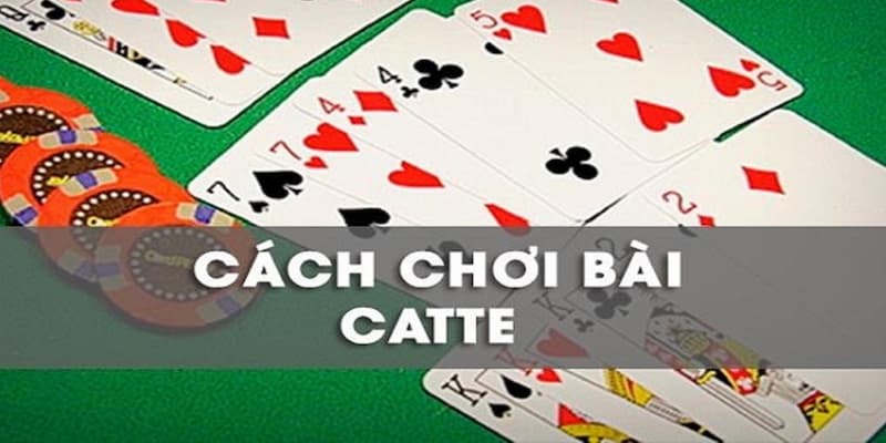 Cách chơi Catte